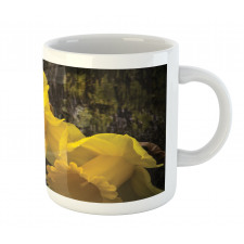 Image of Trumpet Daffodil Mug