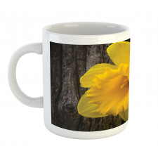 Image of Trumpet Daffodil Mug