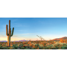 Sun in Desert Cactus Mug