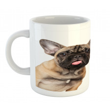 Cat and Dog Shocked Staring Mug