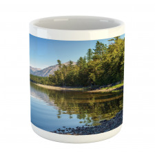 Lake Forest Mug