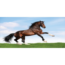 Horse Pacing on Grass Mug