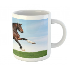 Horse Pacing on Grass Mug