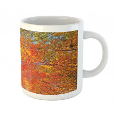 Forest in Autumn Mug