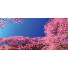 Cherry Blossom Trees Mug