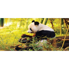 Panda Sitting in Forest Mug