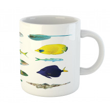 Marine Life Creatures Mug