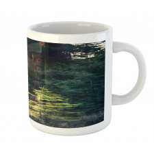 Nevada Morning Sun Mug