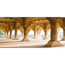 Agra Fort Pillar Mug