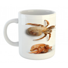 Hermit Crabs Pattern Mug