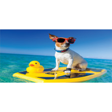 Dog Duck Surfing Mug