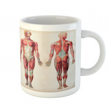 Anatomy Human Body Mug