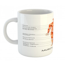 Biology Muscle System Mug