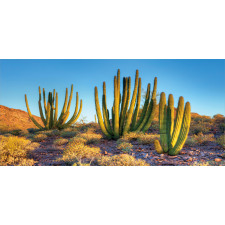 Mountain Cactus Photo Mug