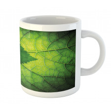 Brazilian Tree Leaf Eco Mug