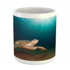 Green Turtle Sunbeam Mug