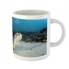 Turtle Coral Reef Mug