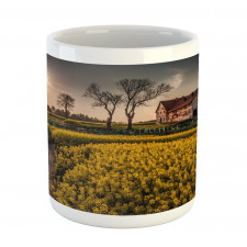 Old Rural House Mug