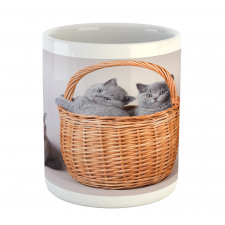 British Cats in Basket Mug