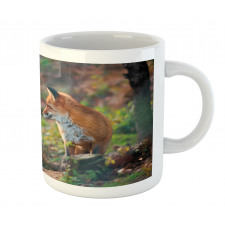 Young Wild Fox in Woodland Mug