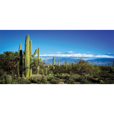 Tucson Countryside Cacti Mug