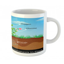 Plant Diagram Style Mug