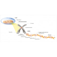 DNA Gene Genome Mug