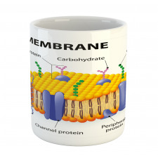 Membrane Cell Types Mug