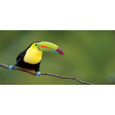 Keel Billed Toucan Mug