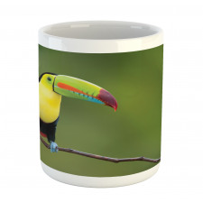 Keel Billed Toucan Mug