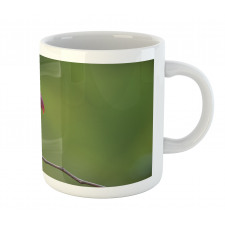 Keel Billed Toucan Mug