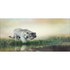 Albino Tiger Near a River Mug