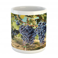 Rows of Wine Fruits in Italy Mug