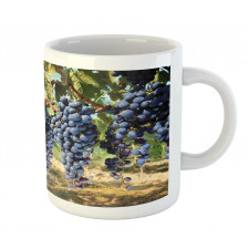 Rows of Wine Fruits in Italy Mug