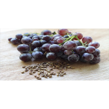 Fruits and Seeds on a Table Mug