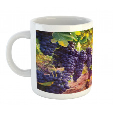 Grape in Countryside Vineyard Mug