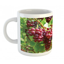 Bunch of Wine Fruits Foliage Mug