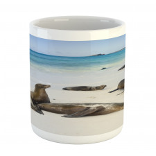 Galapagos Island Sea Lions Mug