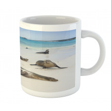 Galapagos Island Sea Lions Mug