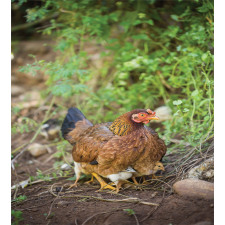 Chicken on Babies Duvet Cover Set