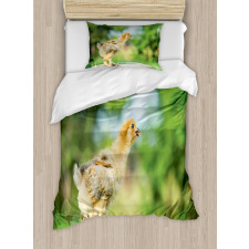 Little Baby Chicken on Log Duvet Cover Set