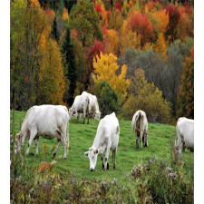 Cows on Autumn Hill Duvet Cover Set