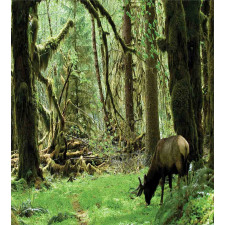 Roosevelt Elk in Park Duvet Cover Set