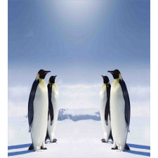 Penguins in Antarctica Duvet Cover Set