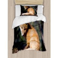 Young Coyote in Forest Sunrays Duvet Cover Set