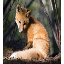 Young Coyote in Forest Sunrays Duvet Cover Set