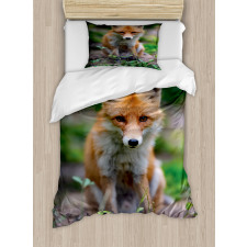 Young Coyote Photo Duvet Cover Set