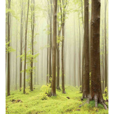 Misty Beech Forest Photo Duvet Cover Set