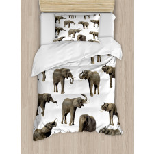 Elephants Tusk Ear Duvet Cover Set