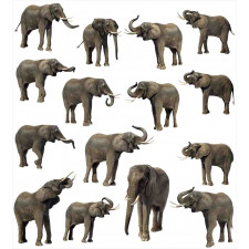 Elephants Tusk Ear Duvet Cover Set